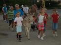 Walk for a Donkey 2009